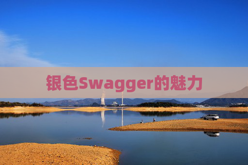 银色Swagger的魅力